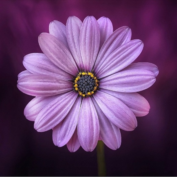 🌸I’m Featured Today! 07/19 - Picture 4 of 12